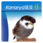 Logo of Kanaryasesi android Application 